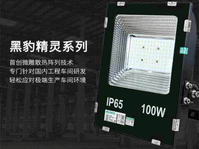 泛光燈、LED泛光燈，泛光燈100瓦